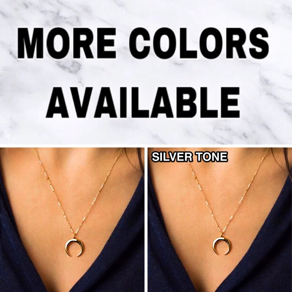 🔴5/$15🔴CLEARANCE Silver Horn Delicate Choker NEW - Picture 8 of 9